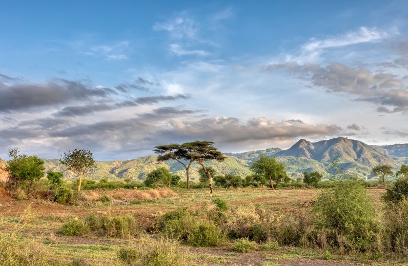 Paysage dans la Vallée