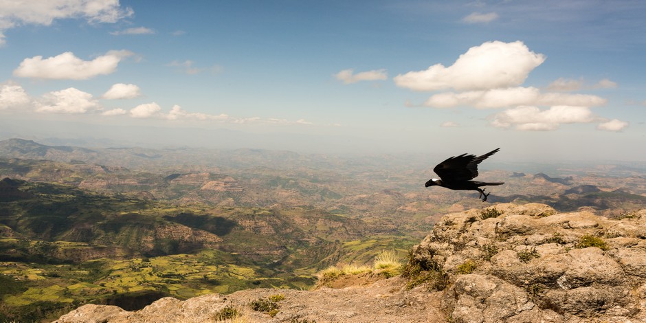 Paysage à perte de vue
